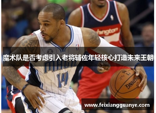 魔术队是否考虑引入老将辅佐年轻核心打造未来王朝