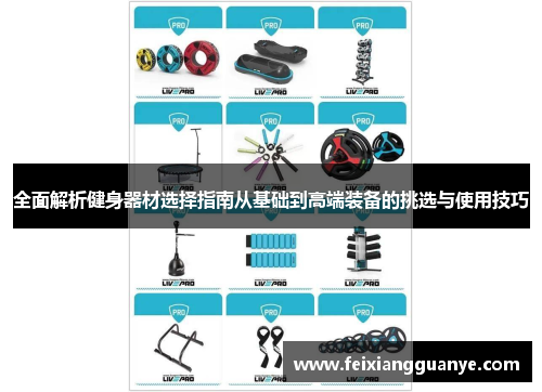 全面解析健身器材选择指南从基础到高端装备的挑选与使用技巧