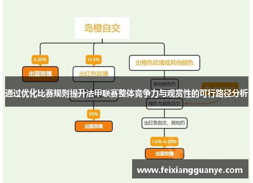 通过优化比赛规则提升法甲联赛整体竞争力与观赏性的可行路径分析